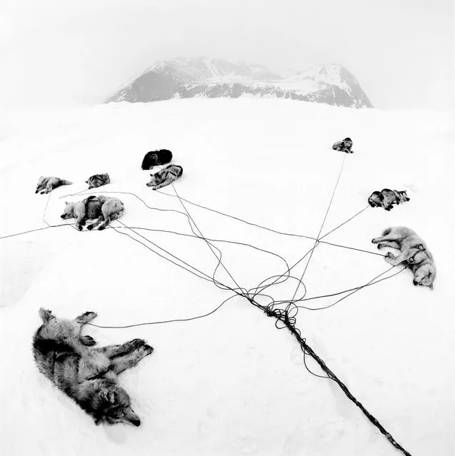 Pål Hermansen, “After the Trip”, 1998, eastern Greenland. Category: Nature. This image was taken after a long day’s sledging with inuits in eastern Greenland close to Ittoqortoormiit. The thin ice is creating problems for the inuits, who are not able to live their traditional life as they did before. (Photo by Pål Hermansen/Earth Photo 2022)