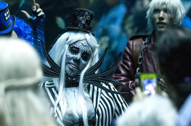 In this Saturday, September 5, 2015, photo, a Dragon Con attendee in costume poses during a private party held at the Georgia Aquarium as part of Dragon Con in Atlanta. (Photo by Ron Harris/AP Photo)