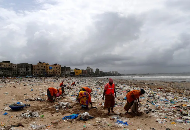 Municipal workers collect garbage as they clean a beach in Mumbai, India, August 14, 2016. (Photo by Danish Siddiqui/Reuters)