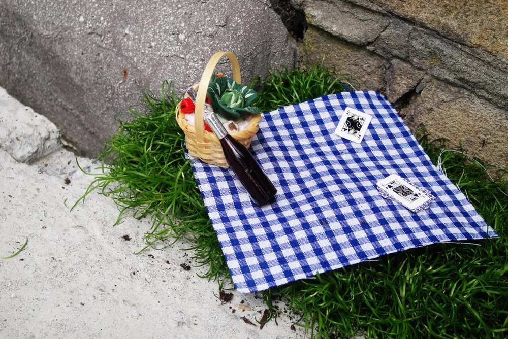 The Pothole Gardener