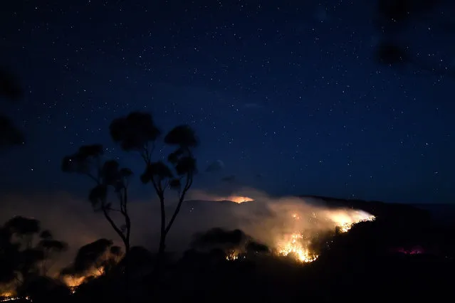 A bushfire burns out of control in the Blue Mountains of the New South Wales on December 2, 2019. Bushfire-prone Australia has experienced a horrific start to its fire season, which scientists say is beginning earlier and becoming more extreme as a result of climate change, which is raising temperatures and sapping moisture from the environment. (Photo by Saeed Khan/AFP Photo)