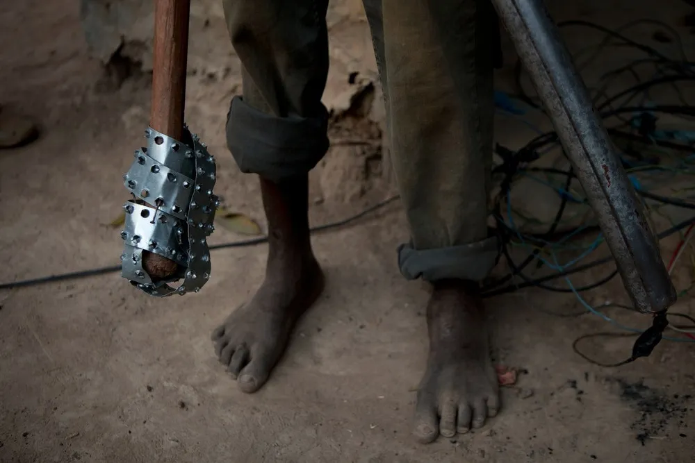 AP Photographer Rebecca Blackwell