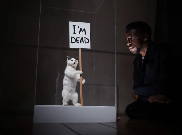 A piece by David Shrigley, “I'm Dead”, 2007, on display during the preview for The Horror Show! exhibition at Somerset House, London on Wednesday, October 26, 2022. The exhibition shows horror's impact on the last 50 years of creative rebellion in Britain. (Photo by Yui Mok/PA Images via Getty Images)