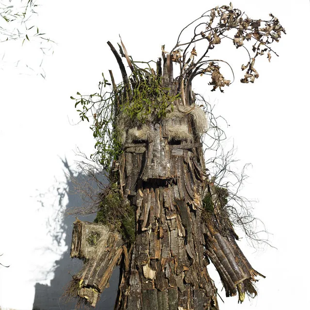 A man dressed as a  “Trapajon”, representing entities of nature, poses for a picture after taking part in the Vijanera Festival in Silio, northern Spain, Sunday, Jan. 6, 2013. The Vijanera masquerade, of pre-Roman origin, is the first carnival of the year in Europe symbolizing the triumph of good over evil and involving the participation of crowds of residents wearing different masks, animal skins and brightly colored clothing with its own complex function and symbolism and becoming the living example of the survival of archaic cults to nature. (Photo by Daniel Ochoa de Olza/AP Photo)