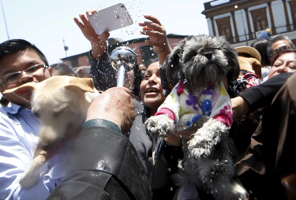 Saint Francis of Assisi Festivities in Lima