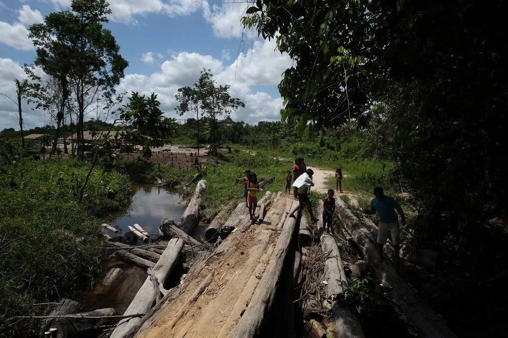 Guardians of the Amazon Rain Forest