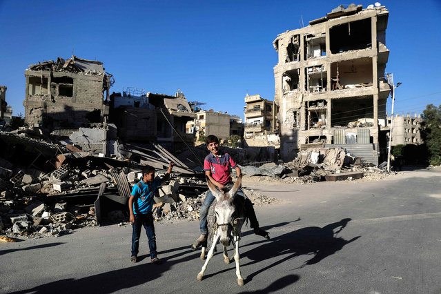 Syrian boy rides a donkey as they play in the rebel-held town of Douma, on the eastern edges of the capital Damascus, on the second day of Eid al-Adha Muslim holiday on September 13, 2016. (Photo by Sameer Al-Doumy/AFP Photo)