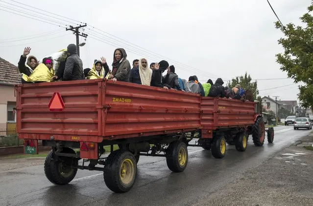Migrants ride on a tractor's trailers as they travel to the border with Croatia near the village of Berkasovo, Serbia October 19, 2015. (Photo by Marko Djurica/Reuters)