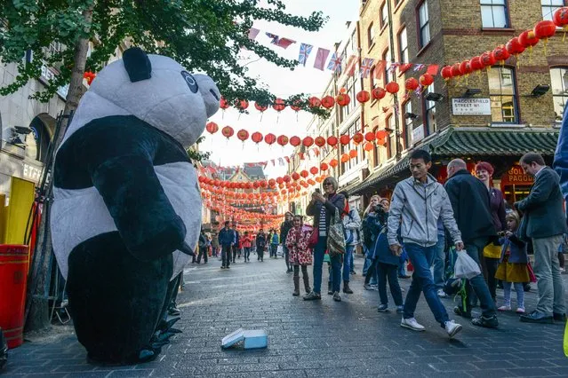 A man in a panda costume entertains the public in Chinatown on October 20, 2015 in London, England. (Photo by Chris Ratcliffe/Getty Images)