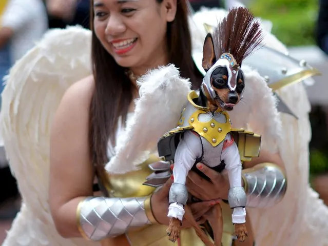 A participant carries a dog dressed as a warrior angel during a Halloween party for pets and kids at the Eastwood Mall in Quezon city, Metro Manila, October 24, 2015. (Photo by Ezra Acayan/Reuters)