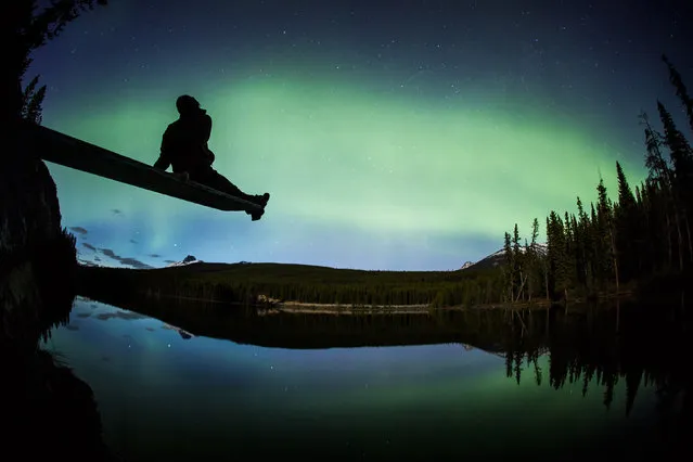 Aurora at Herbert Lake, Banff National Park, Alberta, Canada. (Photo by Paul Zizkas/Caters News)
