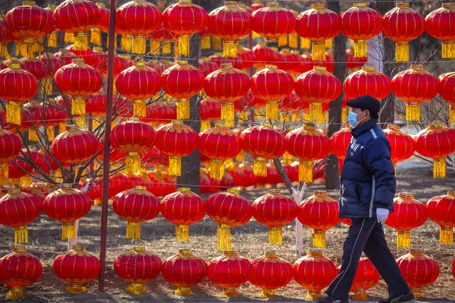 A man wearing a face mask to protect against the spread of the coronavirus walks past a display of lanterns at a public park in Beijing, Tuesday, January 5, 2021. (Photo by Mark Schiefelbein/AP Photo)