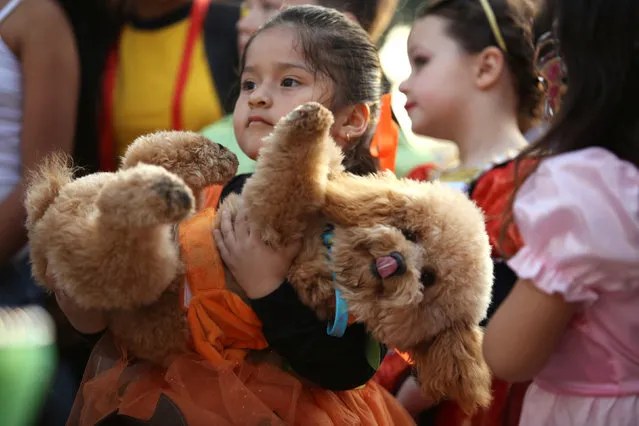 A child holds a dog dressed in a costume during a Pet's Halloween Day parade at Abtao Park in San Isidro, Lima, October 31, 2016. (Photo by Guadalupe Pardo/Reuters)