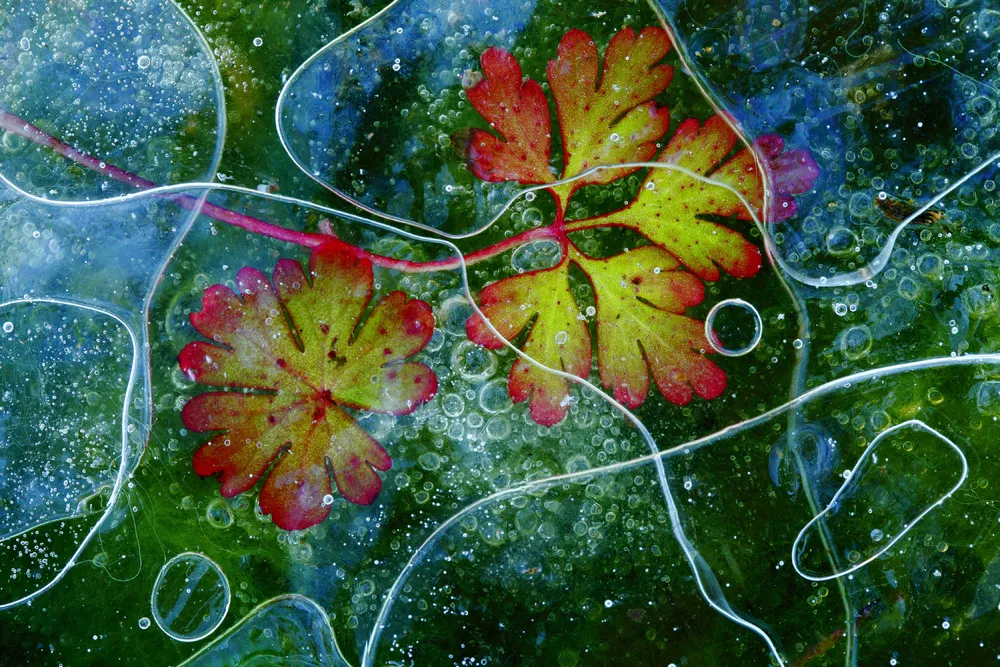 ALL 2013 National Geographic Traveler Photo Contest – in HIGH RESOLUTION. Part I: “Outdoor Scenes” – Weeks 1-10 (74 Photos)