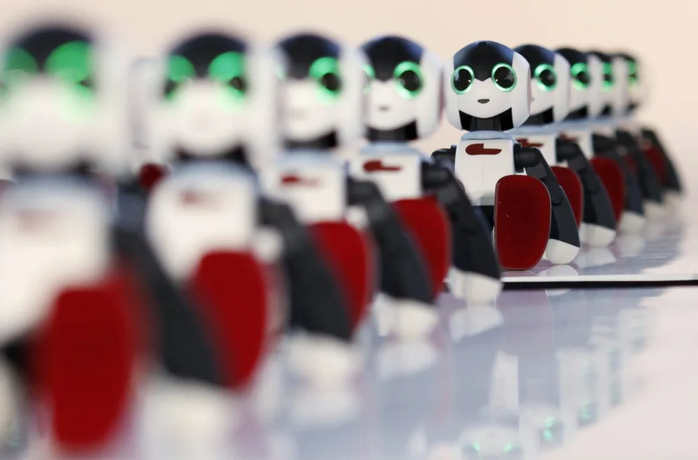 Robi, the Humanoid Robot