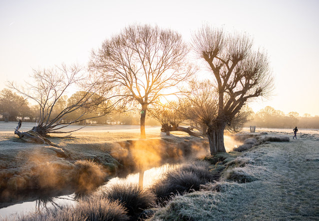 Crisp running conditions in Richmond Park, southwest London, on Wednesday, November 26, 2025 morning after frost settled overnight. (Photo by Alex Lentati/London News Pictures)