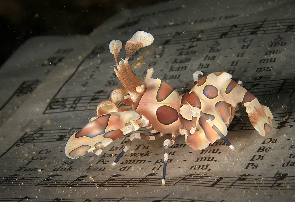 ALL 2012 National Geographic Traveler Photo Contest – in HIGH RESOLUTION. Part 3: “Spontaneous Moments”, Weeks 1-6 (45 Photos)