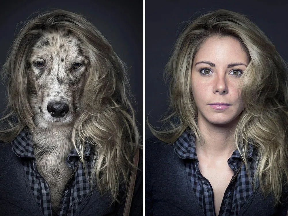 The “Underdogs” Project by Sebastian Magnani
