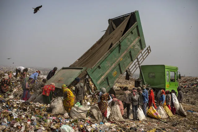 Trash pickers surround a municipal garbage truck dumping trash at the Bhalswa landfill on the outskirts of New Delhi, India, Wednesday, March 10, 2021. The pandemic has amplified the risks that these informal workers face. Few have their own protective gear or even clean water to wash their hands, said Chitra Mukherjee of Chintan, a nonprofit environmental research group in New Delhi. (Photo by Altaf Qadri/AP Photo)