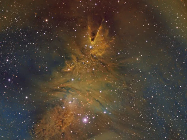 NGC2264 the Cone Nebula in the constelliation Monoceros  NGC2264 refers to both objects the Cone Nebula and the Christmas Tree Cluster.   Also in this image is the Fox Fur Nebula. All the objects are aproximatly 2600 light years from earth. (Bill Snyder)