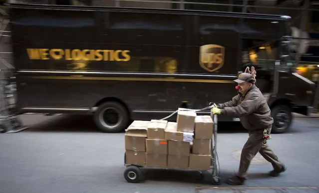 UPS delivery man Vinny Ambrosino prepares to deliver packages on Christmas Eve while wearing a Rudolf nose and antlers in New York, December 24, 2013. (Photo by Carlo Allegri/Reuters)