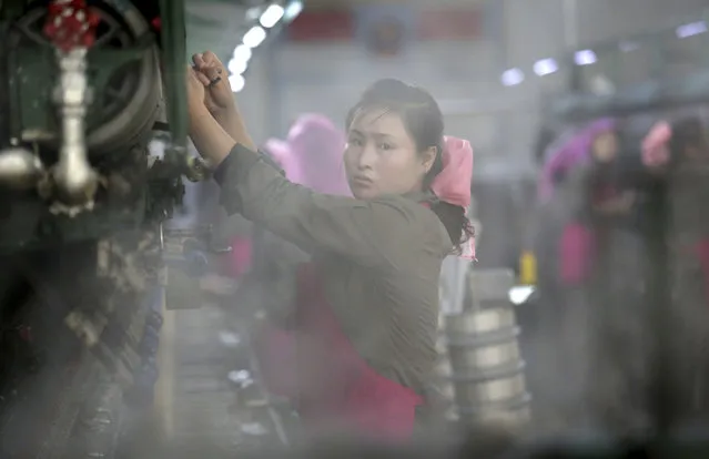 In this Friday, January 6, 2017, photo, a North Korean woman sorts silkworm cocoons to be boiled as part of the silk production process at the Kim Jong Suk Silk Mill in Pyongyang, North Korea. (Photo by Wong Maye-E/AP Photo)