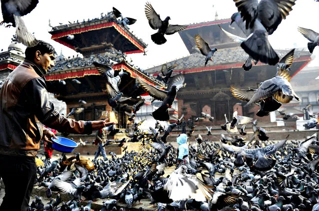 A Nepalese resident feeds pigeons in Durbar Square in Kathmandu on January 9, 2014. Home to the palaces of Malla and Shah kings who ruled over the city, Durbar Square is listed as a UNESCO world heritage site. (Photo by Prakash Mathema/AFP Photo)