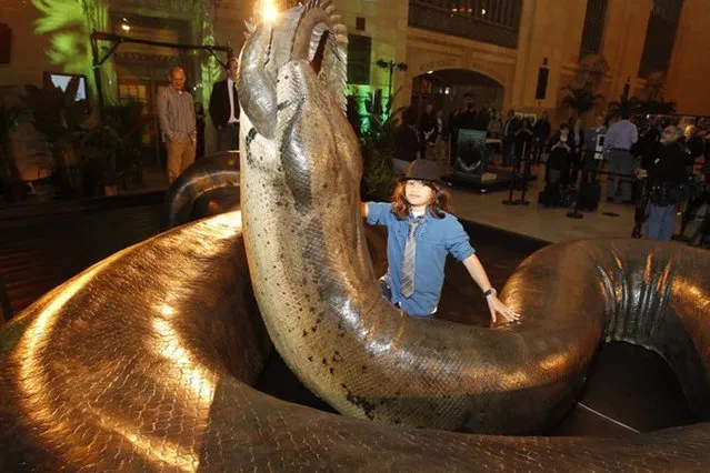 Titanoboa: Monster Snake