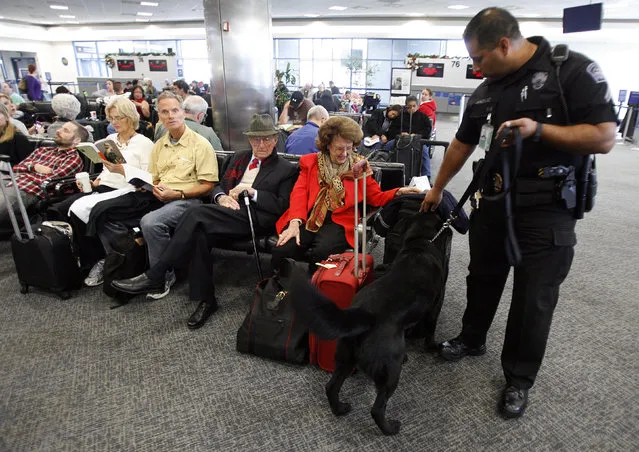 Los Angeles Airport Police K-9 unit officer Heriberto Gonzalez and his dog Bady inspect passengers' items in a boarding area at Los Angeles International Airport December 29, 2009. (Photo by Mario Anzuoni/Reuters)