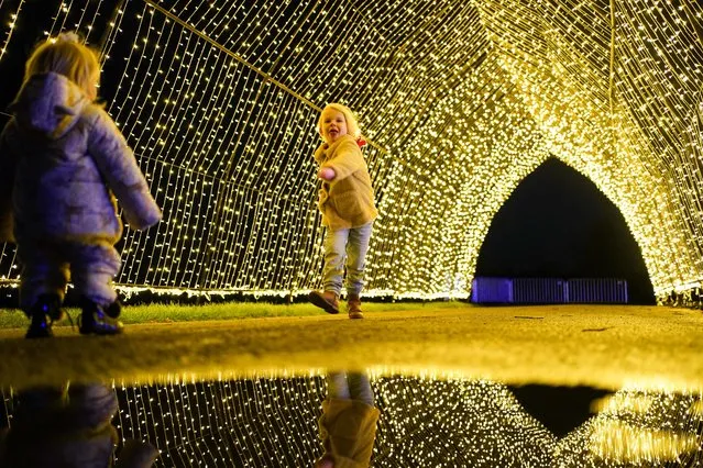 Visitors explore the outdoor light trail at Winter Glow, at Three Counties Showground in Malvern, Worcestershire, United Kingdom on Monday, December 6, 2021. (Photo by Jacob King/PA Images via Getty Images)