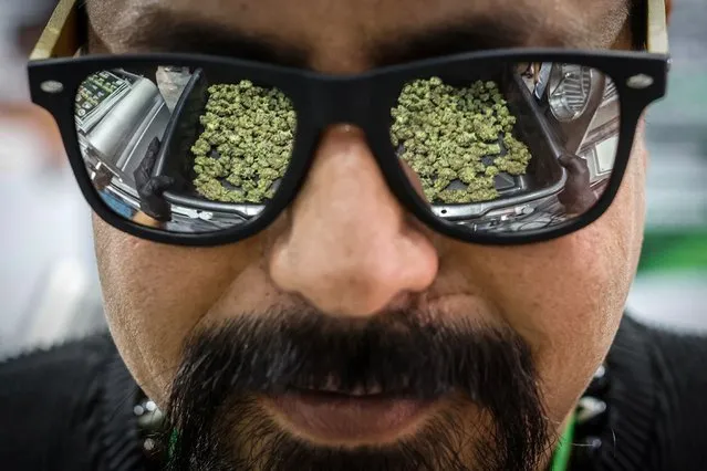 Cannabis buds are reflected on a man's sunglasses, as he demonstrates how a trimmer machine works during a cannabis industry expo in Bangkok, Thailand, on November 22, 2023. (Photo by Jorge Silva/Reuters)