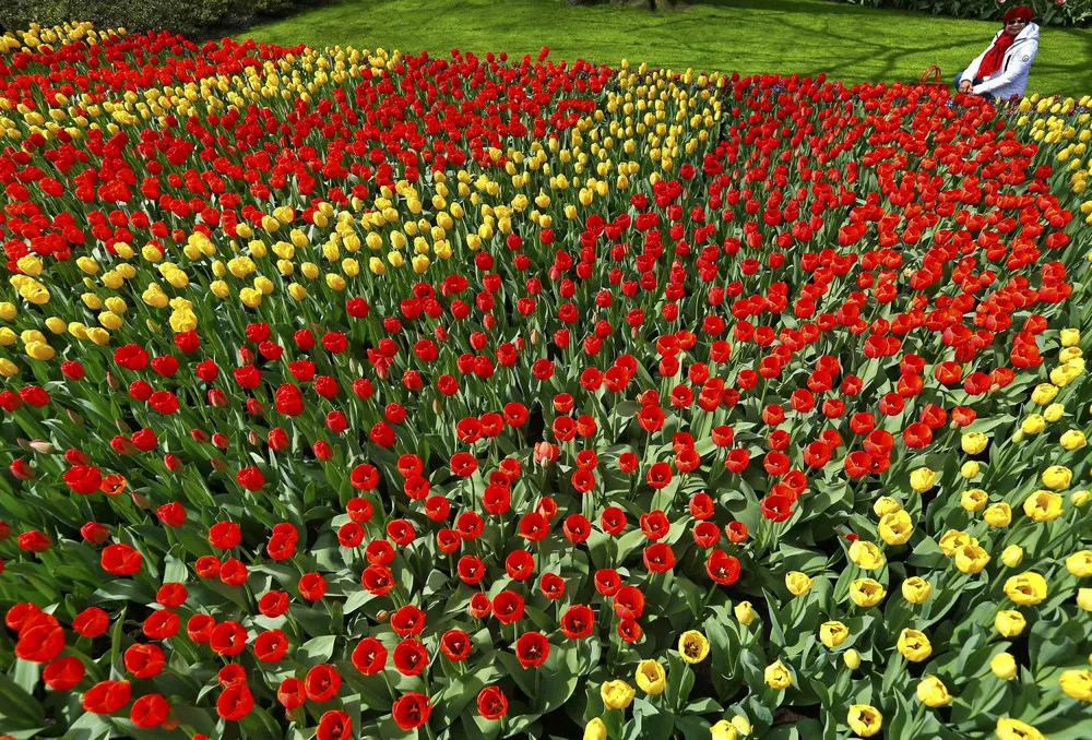 Keukenhof Park – the Garden of Europe