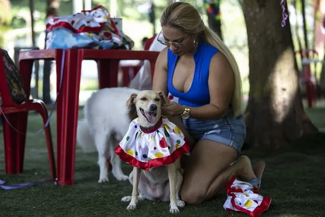 Lilian Di Napoli dresses her pet dog Margot in a costume during the annual Dog Carnival Parade in Rio de Janeiro, Brazil, Sunday, February 27, 2022. (Photo by Bruna Prado/AP Photo)
