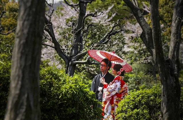 A couple, wearing Japanese traditional attire, poses for wedding photos at a park in Tokyo, on April 8, 2014. (Photo by Eugene Hoshiko/Associated Press)