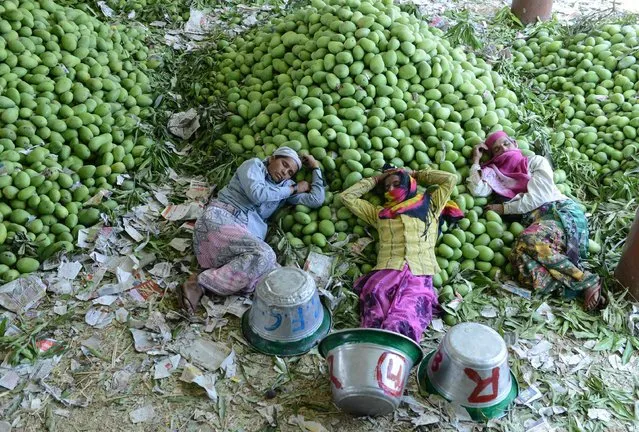 Indian workers rest after unloading mangoes at the Gaddiannaram Fruit Market on the outskirts of Hyderabad on April 12, 2017. India produces over 40 per cent of the world's mangoes, growing some 30 varieties commercially. (Photo by Noah Seelam/AFP Photo)