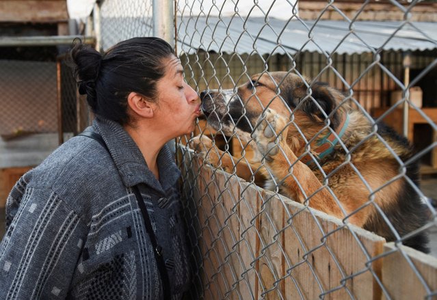 Cecilia Viscarra, a volunteer, kisses a dog from the community living in the cable car facilities, ahead of the International Dog Day, in La Paz, Bolivia on July 20, 2024. (Photo by Claudia Morales/Reuters)