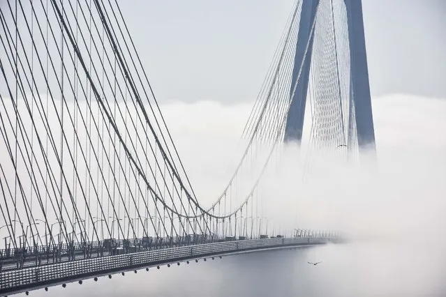 Fog blankets the city as visibility distance reduce at Yavuz Sultan Selim Bridge during morning hours in Istanbul, Turkiye on March 28, 2022. (Photo by Arife Karakum/Anadolu Agency via Getty Images)