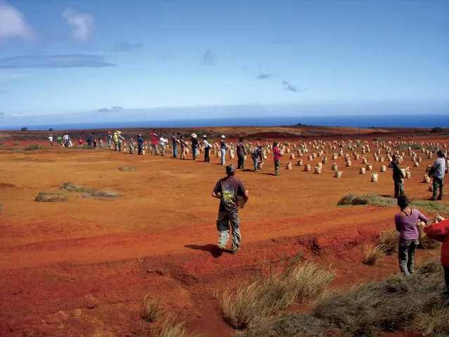 In this 2010 photo provided by the Kahoolawe Island Reserve Commission, volunteers work the hardpan at the Hakioawa Watershed on Kahoolawe, Hawaii. In World War II, the U.S. Navy started using the 45 square miles of Kahoolawe as a bombing range. After two decades of trying to restore a Hawaiian island ravaged by nearly 50 years of military bombing, its future funding is now in jeopardy. The Kahoolawe Island Reserve Commission, which is the agency tasked with restoring the island, has yet to be funded after 2017. (Photo by Mike Nahoopii/Kahoolawe Island Reserve Commission via AP Photo)