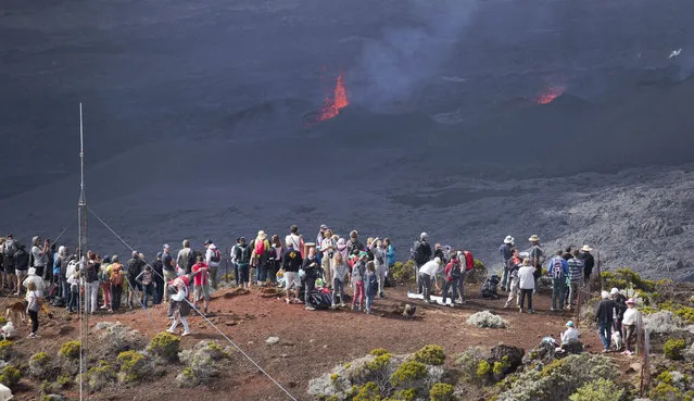 Volcano-watchers gather on an overlooking vantage point as lava erupts from the Piton de la Fournaise “Peak of the Furnace” volcano, on the southeastern corner of the Indian Ocean island of Reunion Saturday, August 1, 2015. (Photo by Ben Curtis/AP Photo)