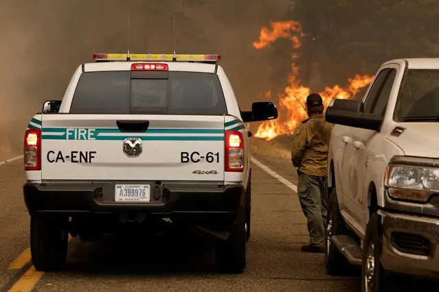 McKinney Fire burns near Yreka, California, U.S., July 30, 2022. (Photo by Fred Greaves/Reuters)