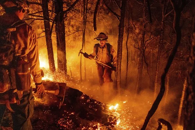 Firefighter Christian Mendoza manages a backfire, flames lit by firefighters to burn off vegetation, while battling the Mosquito Fire in Placer County, Calif., on Tuesday, September 13, 2022. (Photo by Noah Berger/AP Photo)