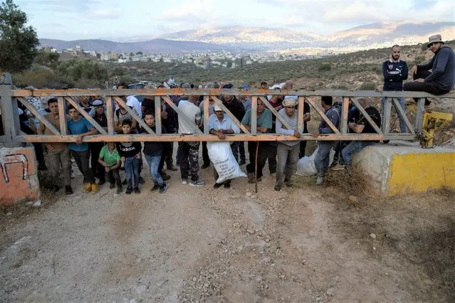 Palestinian farmers wait behind an Israeli army security gate to be allowed on to their lands to harvest olives, in the West Bank village of Salem, east of Nablus, Tuesday, October 18, 2022. The Israeli army opened the security gate that separates Palestinian farmers from their olive groves in the village of Salem and granted them access for three days to harvest their olives, at the beginning of the harvest season. (Photo by Nasser Nasser/AP Photo)