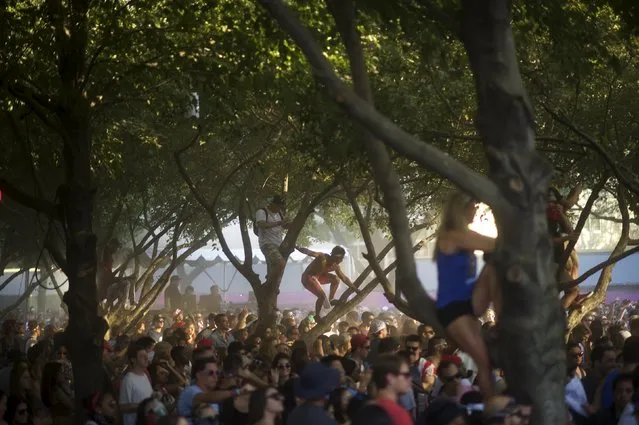Revelers climb trees and dance to Claude Vonstroke during the fourth annual Made in America Music Festival in Philadelphia, Pennsylvania September 6, 2015. (Photo by Mark Makela/Reuters)