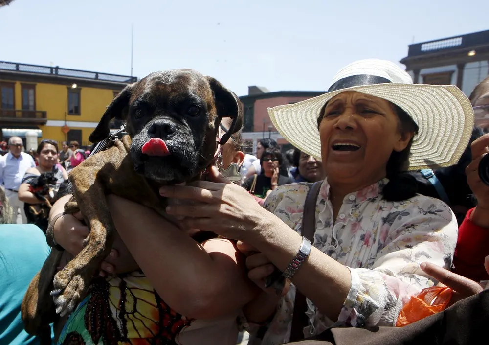 Saint Francis of Assisi Festivities in Lima