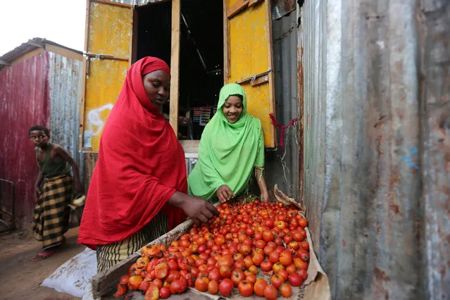 Newly married Huda Omar (R) and her sister-in-law Rahma Noor look at tomatoes at Mogadishu's Rajo camp, Somalia August 30, 2016. (Photo by Feisal Omar/Reuters)