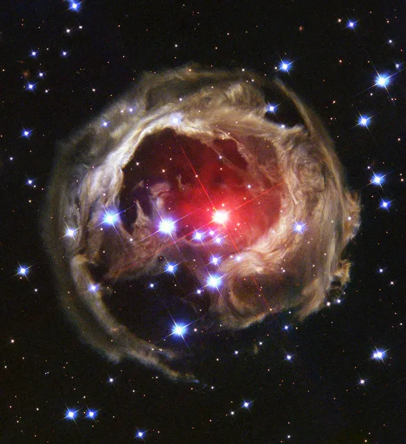 The star V838 Mon, whose outer surface suddenly greatly expanded with the result that it became the brightest star in the entire Milky Way Galaxy in January 2002. Then, just as suddenly, it faded. A stellar flash like this had never been seen before. (Photo by Reuters/NASA/ESA)