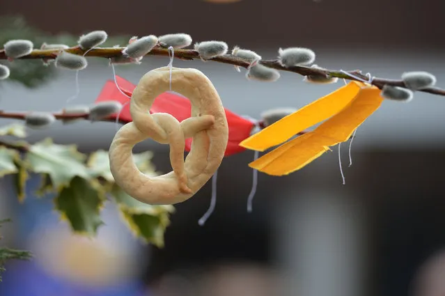 A “Palm pretzel”  is hanging in a hand made palm during a Palm Sunday procession in Lofer, Austrian province of Salzburg, on March 24, 2013. Catholic areas, such as Austria, Bavaria or some parts of Swabia, the “Palm pretzel” is made for Palm Sunday celebrations. (Kerstin Joensson/Associated Press)