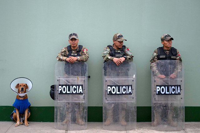 Police officers and a dog are seen outside the Barbadillo prison in Lima, Peru, on Thursday, September 4, 2025. (Photo by Ernesto Benavides/AFP Photo)