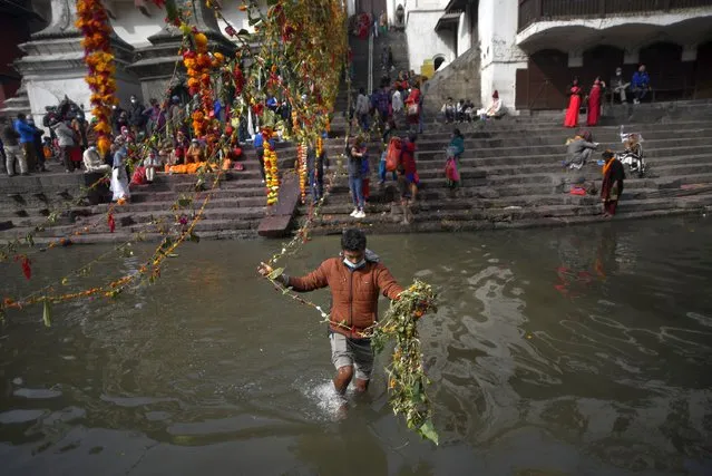 A Nepalese devotee tighten religious rope consists of flower, fruits and holy grains at the Pashupatinath Temple during Haribodhini Ekadashi celebrated in Kathmandu, Nepal on Thursday, November 26, 2020. People celebrate it by fasting and worshipping Tulsi or Vishnu. (Photo by Narayan Maharjan/NurPhoto via Getty Images)
