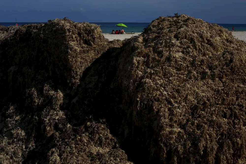 Earthprints: Cancun